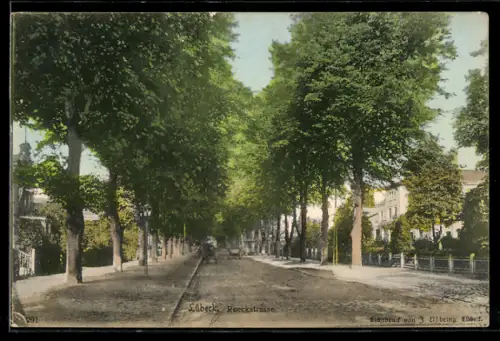 AK Lübeck, Roeckstrasse, baumgesäumte Strasse
