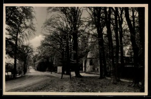 AK Siegen, Restaurant Ermitage, Inh. Karl Löw, schattiger Garten