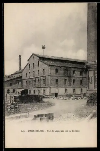 AK Dannemarie, Nid de Cigognes sur la Tuilerie