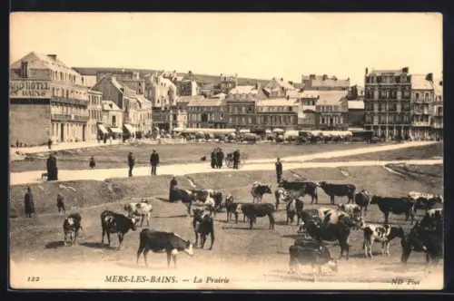 AK Mers-les-Bains, La Prairie avec troupeau de vaches et vue sur les bâtiments historiques