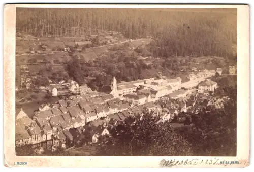 Fotografie L. Meder, Heidelberg, Ansicht Wildbad i. E., Ortsansicht aus der Vogelschau