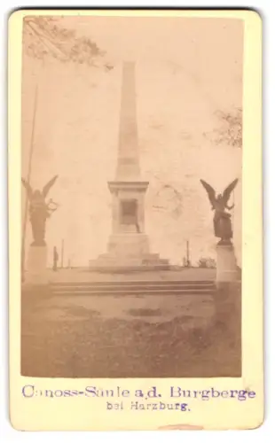 Fotografie A. Wille, Harzburg, Ansicht Harzburg, Canoss-Säule a. d. Burgberge