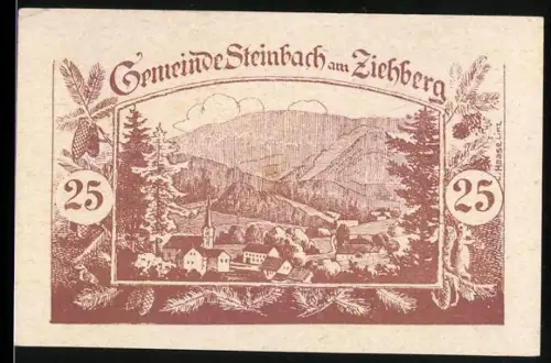 Notgeld Steinbach am Ziehberg 1920, 25 Heller, Ortsansicht mit Berglandschaft und Fichtenzweigen