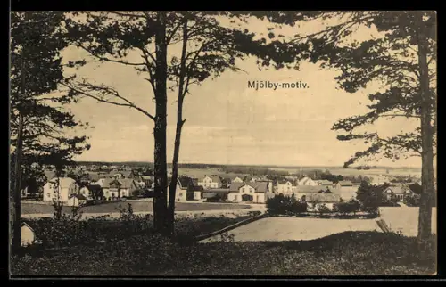 AK Mjölby, Mjölby-motiv