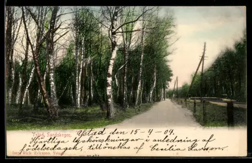 AK Ystad, Sandskogen