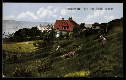 AK Helsingborg, Parti fran Palsjö backar