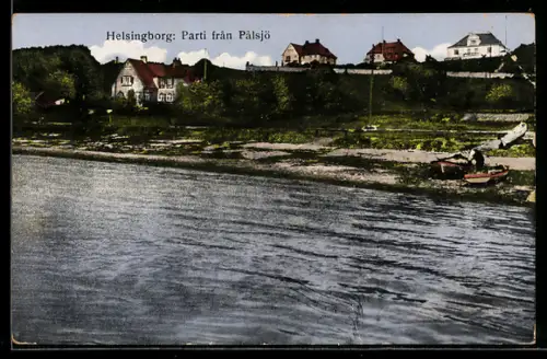 AK Helsingborg, Parti fran Palsjö