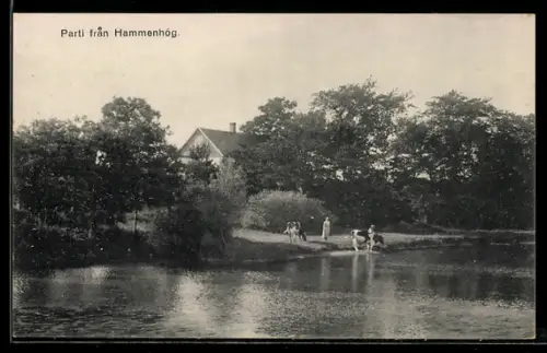 AK Hammenhög, Parti fran Hammenhög, Panorama