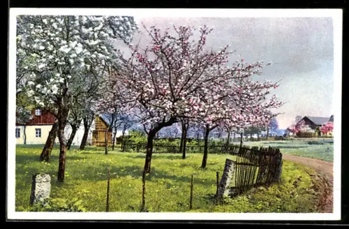 Künstler-AK Photochromie Nr. 5028: Dorfstrasse mit blütenbestandenen Bäumen