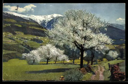 AK Photochromie NR 2712: Landschaftspartie mit Bergpanorama