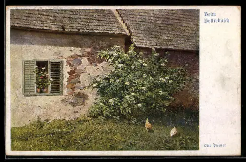 AK Deutscher Schulverein NR. 888: Sicht auf einen Hollerbusch