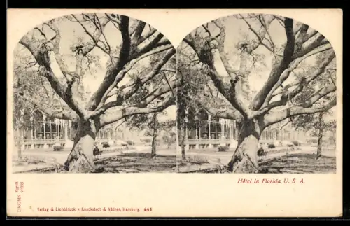 Stereo-AK Florida, USA, Hotel in Lake Worth