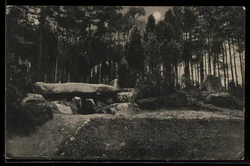 AK Sieben-Steinhäuser /Lüneburger Heide, Hünengrab I