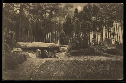 AK Sieben-Steinhäuser /Lüneburger Heide, Blick zum Hünengrab I
