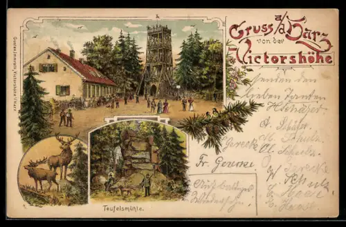 Lithographie Gernrode / Harz, Victorshöhe, Hirsche, Teufelsmühle, Vögel