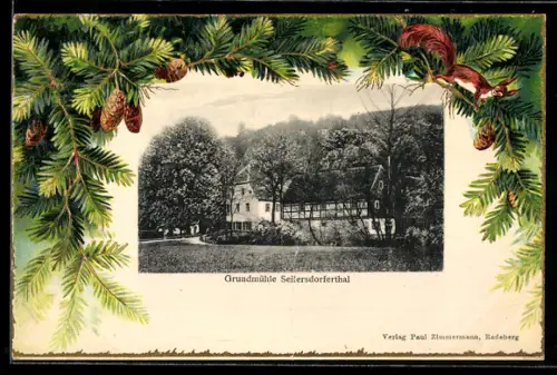 AK Liegau, Grundmühle Seifersdorferthal, Eichhörnchen