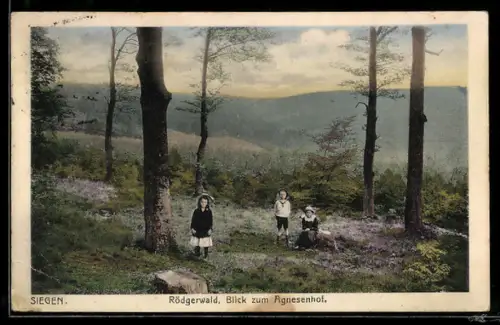 AK Siegen, Rödgerwald, Blick zum Agnesenhof