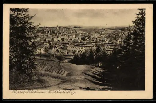 AK Siegen, Blick vom Fischbacherberg
