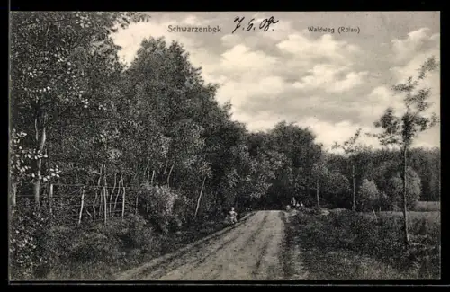 AK Schwarzenbek, Waldweg