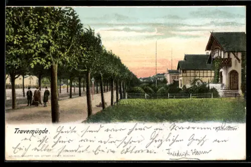 Lithographie Travemünde, Baumgesäumte Promenade, Villen