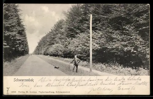 AK Schwarzenbek, Baumallee mit Spaziergänger und Hund