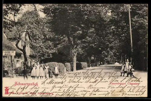 AK Schwarzenbek, Lauenburger Chaussee, Allee mit Passanten