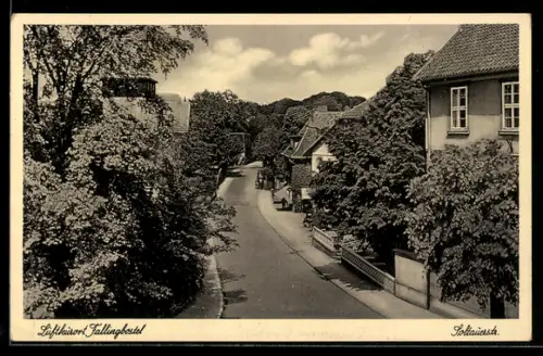 AK Fallingbostel, Partie in der Soltauerstrasse mit Häusern und Bäumen