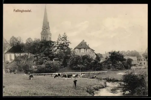 AK Fallingbostel, Kirche, Weide mit Kühen, Bach