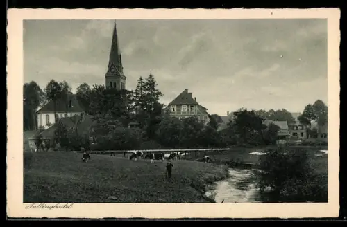 AK Fallingbostel, Kirche, Flussufer mit weidenden Kühen