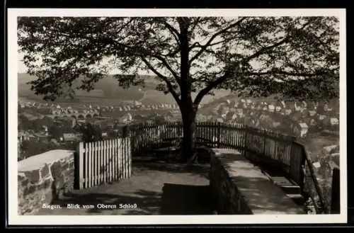 AK Siegen, Blick vom Oberen Schloss