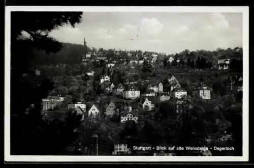 AK Stuttgart, Degerloch, Blick auf alte Weinsteige