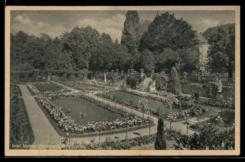 AK Insel Mainau /Bodensee, Rosengarten