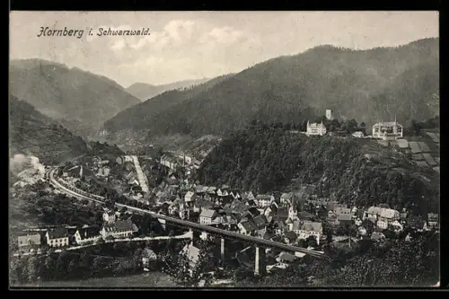 AK Hornberg i. Schwarzwald, Teilansicht
