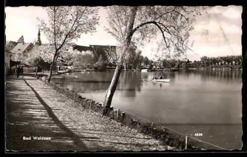 AK Bad Waldsee, Uferpartie