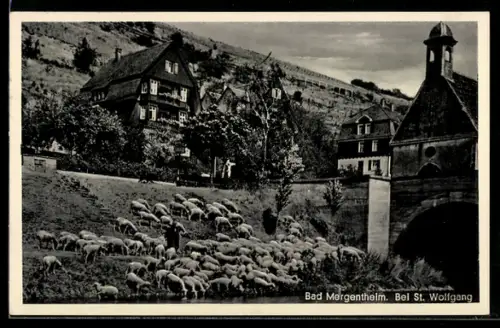 AK Bad Mergentheim, Partie bei St. Wolfgang