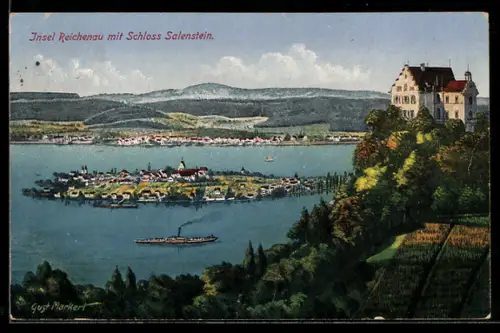 Künstler-AK Reichenau, Insel mit Schloss Salenstein