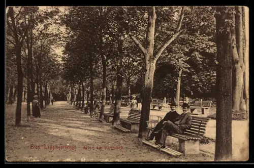 AK Bad Lippspringe, Allee im Kurpark