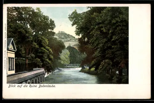 AK Bad Kissingen, Blick auf die Ruine Botenlaube