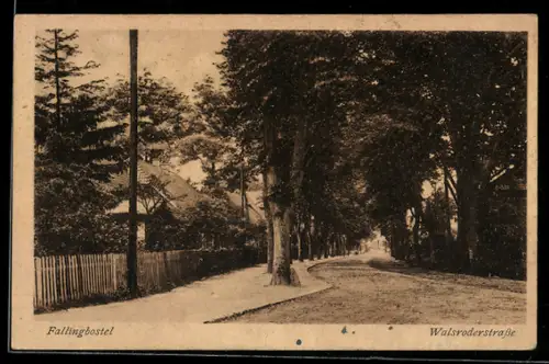 AK Fallingbostel, Walsroderstrasse, Baumallee