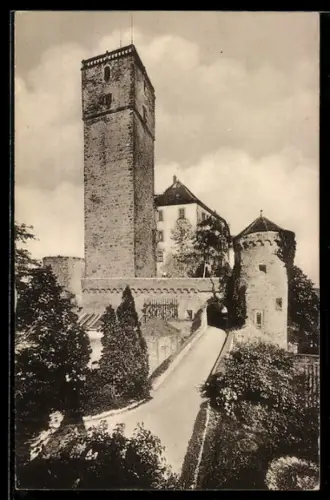AK Hassmersheim /Baden, Schloss Guttenberg