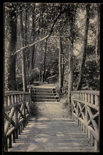 AK Chemnitz, Stadtparkpartie, Brücke