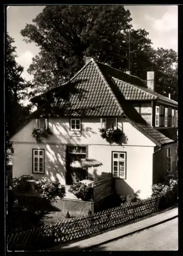 AK Fallingbostel, Pension Haus Petersen, Bes. Elfriede Stadie