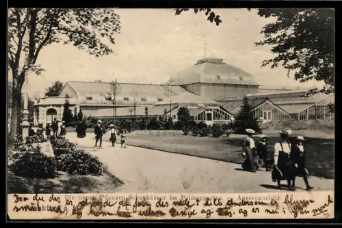 AK Frankfurt-Westend, Die neuen Pflanzen-Schauhäuser im Palmengarten