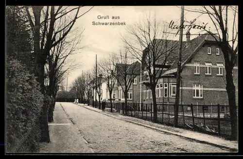 AK Schwarzenbek, Strassenpartie mit Wohnhäusern