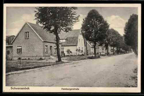 AK Schwarzenbek, Blick in die Hamburgerstrasse