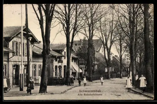 AK Schwarzenbek, Alte Bahnhofstrasse mit Zahnpraxis und Friseur