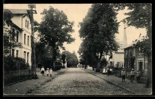 AK Schwarzenbek, Kinder auf der Lauenburger Strasse