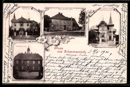 AK Schwarzenbek, Apotheke, Kaiserliche Post, Bürgermeisteramt, Amtsgericht