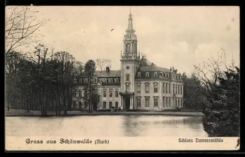 AK Schönwalde /Mark, Schloss Dammsmühle mit Gartenanlagen und Teich