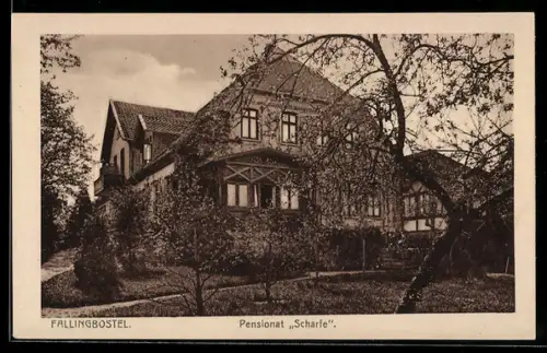 AK Fallingbostel, Pension Scharfe, Aussenansicht mit Grünanlagen